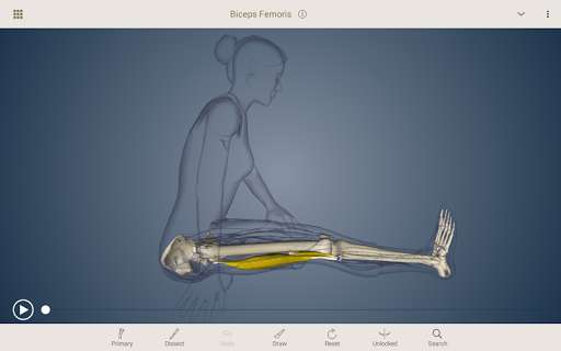 Emulate Android APK AnatomyU Emulate Android APK AnatomyU