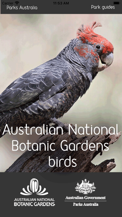 Emulate iPhone app ANBG Birds using MyAndroid