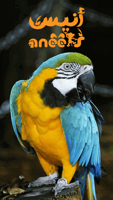 Emulate iPhone app Anees Animals ???? using MyAndroid