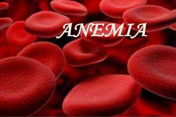 Emulate Android APK anemia disease test Emulate Android APK anemia disease test