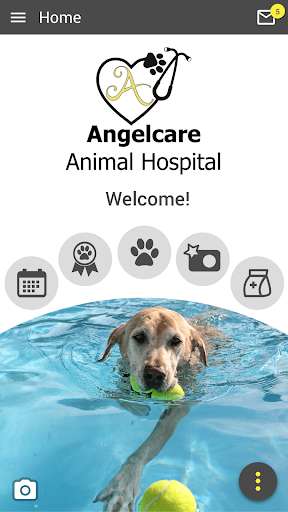 Run android online APK Angelcare AH from MyAndroid or emulate Angelcare AH using MyAndroid Run android online APK Angelcare AH from MyAndroid or emulate Angelcare AH using MyAndroid