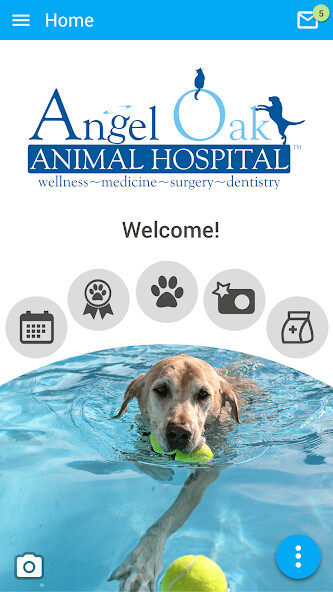 Run android online APK Angel Oak Animal Hospital from MyAndroid or emulate Angel Oak Animal Hospital using MyAndroid Run android online APK Angel Oak Animal Hospital from MyAndroid or emulate Angel Oak Animal Hospital using MyAndroid