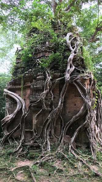 Run android online APK Angkor Wat Wallpapers from MyAndroid or emulate Angkor Wat Wallpapers using MyAndroid