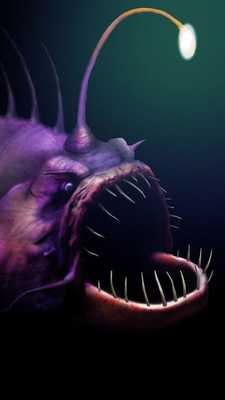 Emulate Android APK Angler Fish Live Wallpaper Emulate Android APK Angler Fish Live Wallpaper