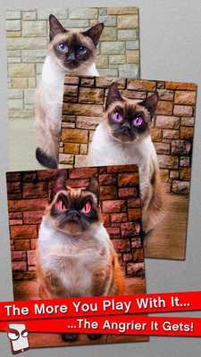 Emulate Android APK Angry Cat Free! Emulate Android APK Angry Cat Free!