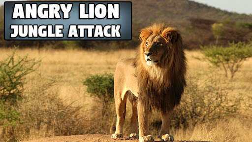 Run android online APK Angry Lion Jungle Attack from MyAndroid or emulate Angry Lion Jungle Attack using MyAndroid