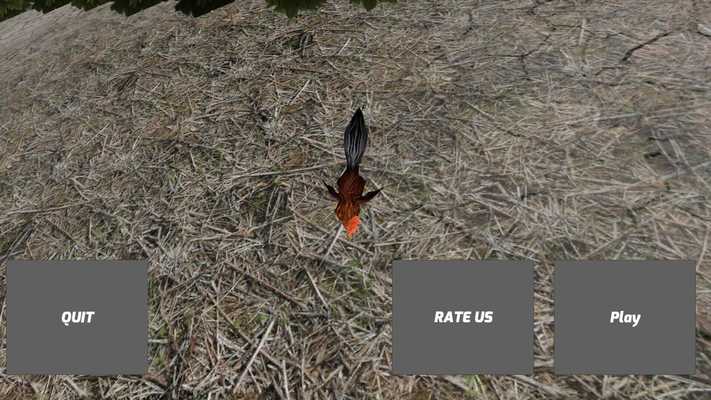 Emulate Android APK Angry Rooster Simulator