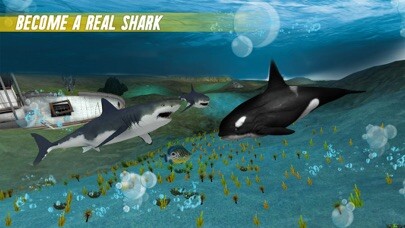 Emulate iPhone app Angry Shark Attack : Sim 2018 using MyAndroid