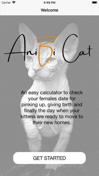 Emulate iPhone app AniBi Cat using MyAndroid