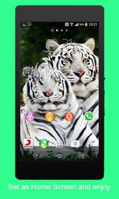 Emulate Android APK Animal 3D Live Wallpaper Emulate Android APK Animal 3D Live Wallpaper