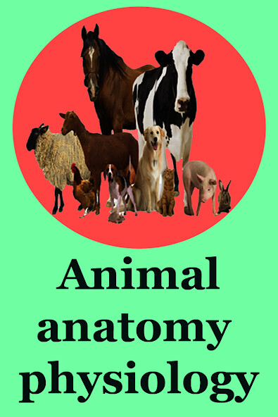 Run android online APK Animal anatomy physiology from MyAndroid or emulate Animal anatomy physiology using MyAndroid