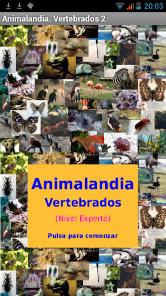 Run android online APK Animalandia Vertebrados Exp from MyAndroid or emulate Animalandia Vertebrados Exp using MyAndroid