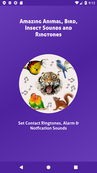 Run android online APK Animal, Bird, Insect Sounds and Ringtones from MyAndroid or emulate Animal, Bird, Insect Sounds and Ringtones using MyAndroid Run android online APK Animal, Bird, Insect Sounds and Ringtones from MyAndroid or emulate Animal, Bird, Insect Sounds and Ringtones using MyAndroid