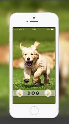 Emulate Android APK Animal  Birds Sound for kids