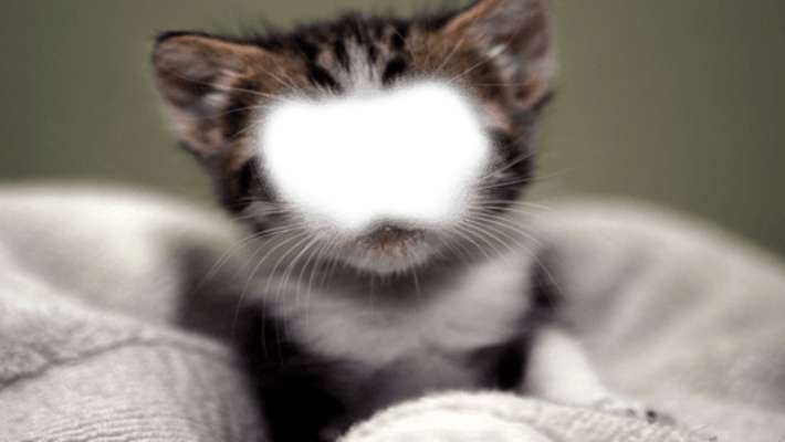 Emulate Android APK Animal Body Photo Maker Emulate Android APK Animal Body Photo Maker