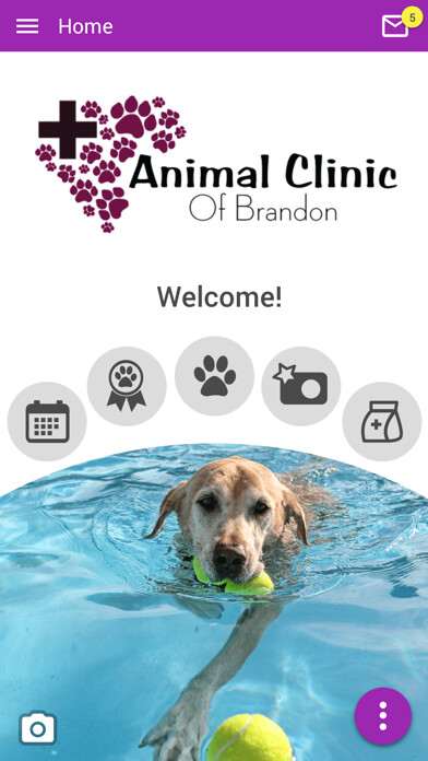 Run android online APK Animal Clinic of Brandon from MyAndroid or emulate Animal Clinic of Brandon using MyAndroid Run android online APK Animal Clinic of Brandon from MyAndroid or emulate Animal Clinic of Brandon using MyAndroid