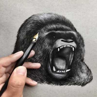 Emulate Android APK Animal Drawing Ideas Emulate Android APK Animal Drawing Ideas