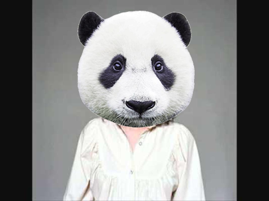 Emulate Android APK Animal Face Changing Editor