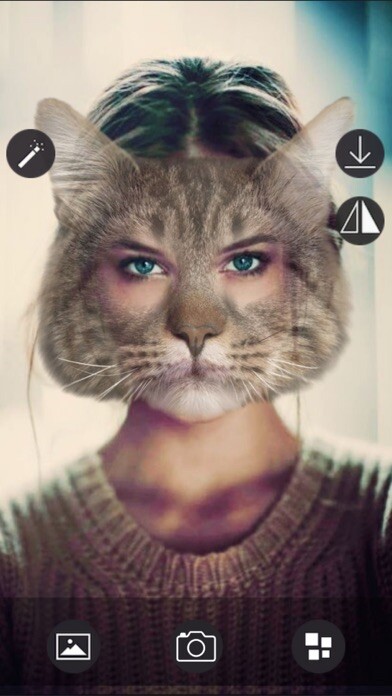 Emulate iPhone app Animal Face - Selfie Editor & Stickers for Pictures using MyAndroid Emulate iPhone app Animal Face - Selfie Editor & Stickers for Pictures using MyAndroid