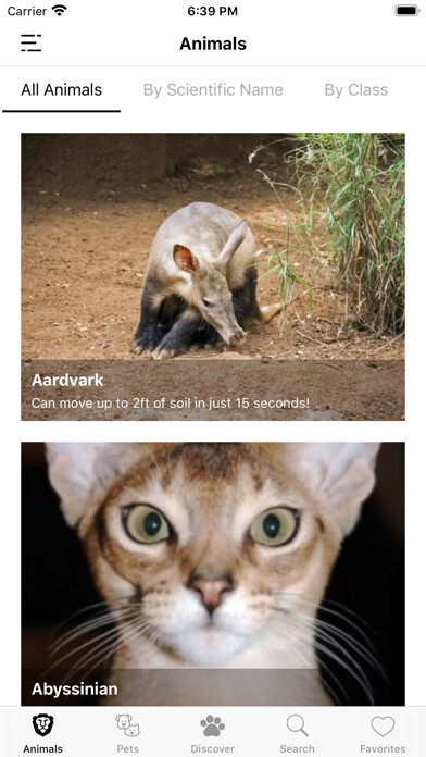 Emulate iPhone app Animal Facts (Animal World) using MyAndroid Emulate iPhone app Animal Facts (Animal World) using MyAndroid