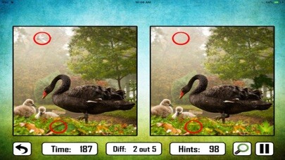 Emulate iPhone app Animal Find The Difference using MyAndroid