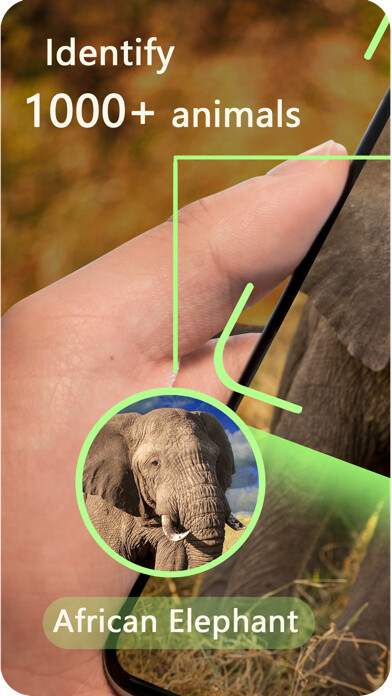 Emulate iPhone app Animal Identifier-Animal World using MyAndroid Emulate iPhone app Animal Identifier-Animal World using MyAndroid