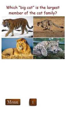 Emulate Android APK Animal Image Quiz