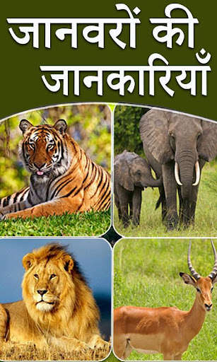 Run android online APK Animal Information in Hindi from MyAndroid or emulate Animal Information in Hindi using MyAndroid