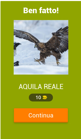 Run android online APK Animali Quiz from MyAndroid or emulate Animali Quiz using MyAndroid