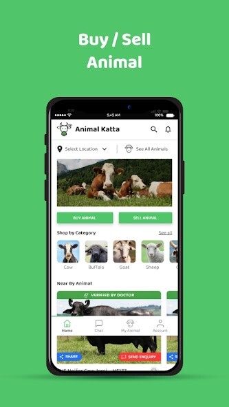 Run android online APK Animal Katta from MyAndroid or emulate Animal Katta using MyAndroid Run android online APK Animal Katta from MyAndroid or emulate Animal Katta using MyAndroid
