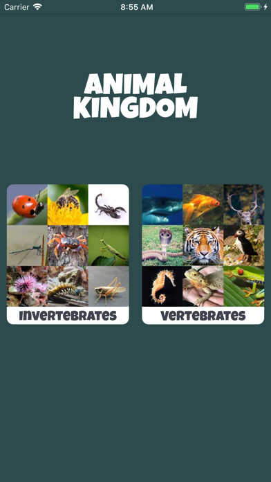 Emulate iPhone app Animal Kingdom (wildlife) using MyAndroid Emulate iPhone app Animal Kingdom (wildlife) using MyAndroid