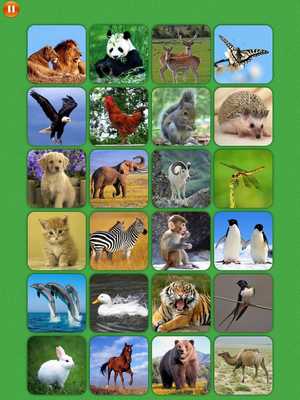 Emulate Android APK Animal Match Memory training