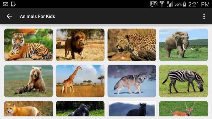 Emulate Android APK Animal Names for Kids Emulate Android APK Animal Names for Kids