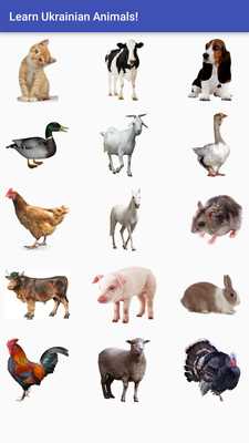 Emulate Android APK Animal Names in Ukrainian Emulate Android APK Animal Names in Ukrainian