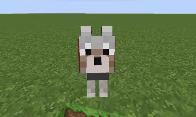 Emulate Android APK Animal Pet MCPE Mods