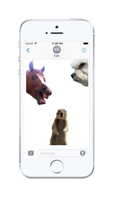Emulate iPhone app Animal Photobombs - Free, Classic, Horse, Llama using MyAndroid