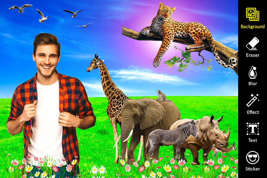 Run android online APK Animal Photo Editor from MyAndroid or emulate Animal Photo Editor using MyAndroid Run android online APK Animal Photo Editor from MyAndroid or emulate Animal Photo Editor using MyAndroid