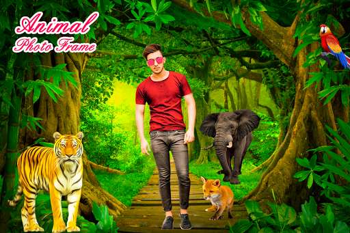 Emulate Android APK Animal Photo Frame