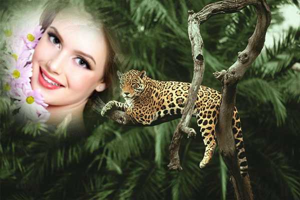 Emulate Android APK Animal Photo Maker Emulate Android APK Animal Photo Maker