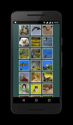 Emulate Android APK Animal Picture Gallery Emulate Android APK Animal Picture Gallery