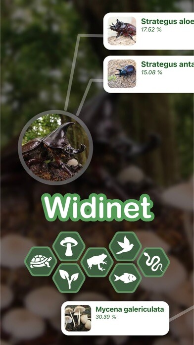 Emulate iPhone app Animal & Plant Identifier using MyAndroid