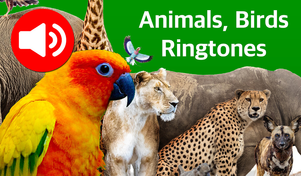 Run android online APK Animal Ringtones  Wallpapers from MyAndroid or emulate Animal Ringtones  Wallpapers using MyAndroid