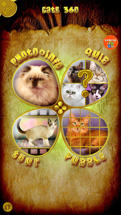 Emulate iPhone app Animals 360 - Cats Gold using MyAndroid Emulate iPhone app Animals 360 - Cats Gold using MyAndroid