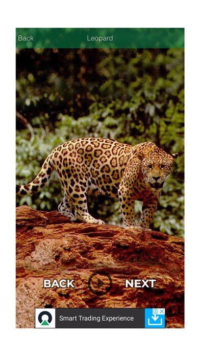 Emulate iPhone app Animals and Birds Funny Sound using MyAndroid Emulate iPhone app Animals and Birds Funny Sound using MyAndroid