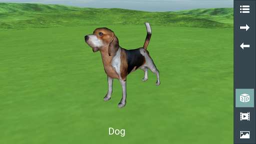 Run android online APK Animals for Kids 3D: Learn Animals, Animal Sounds from MyAndroid or emulate Animals for Kids 3D: Learn Animals, Animal Sounds using MyAndroid