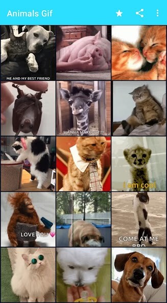 Run android online APK Animals GIFs from MyAndroid or emulate Animals GIFs using MyAndroid Run android online APK Animals GIFs from MyAndroid or emulate Animals GIFs using MyAndroid