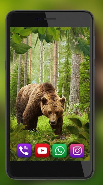 Run android online APK Animals Great Collection from MyAndroid or emulate Animals Great Collection using MyAndroid