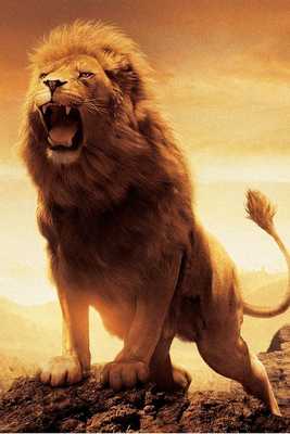 Emulate Android APK Animals HD Wallpapers