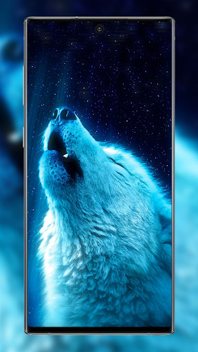 Run android online APK Animals HD Wallpaper-WOLF 4K from MyAndroid or emulate Animals HD Wallpaper-WOLF 4K using MyAndroid Run android online APK Animals HD Wallpaper-WOLF 4K from MyAndroid or emulate Animals HD Wallpaper-WOLF 4K using MyAndroid