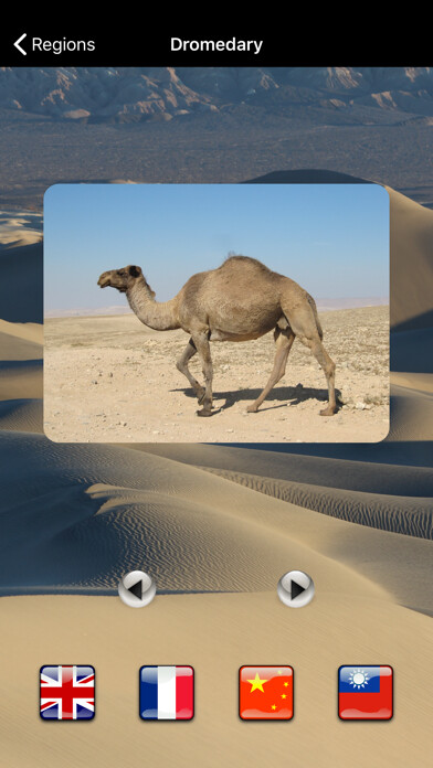 Emulate iPhone app Animals Home using MyAndroid Emulate iPhone app Animals Home using MyAndroid